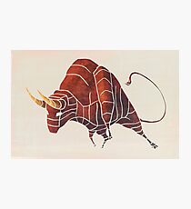 Bull Photographic Print