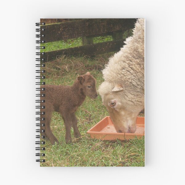 Item preview, What's This Mom? designed and sold by Patricia Howitt.