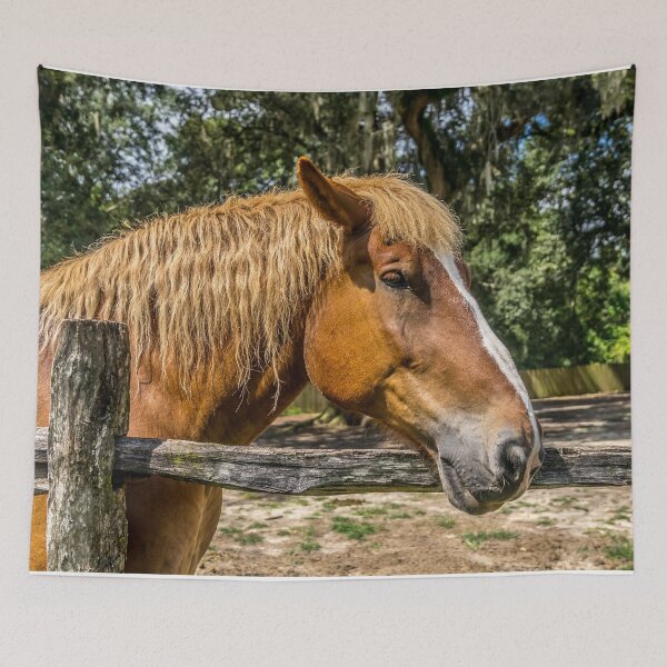 Item preview, Brown Horse designed and sold by ShootFirstNYC.
