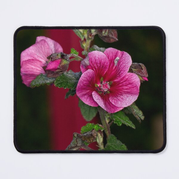 Item preview, Floriade 2022 (30) designed and sold by Wolf Sverak Photography.