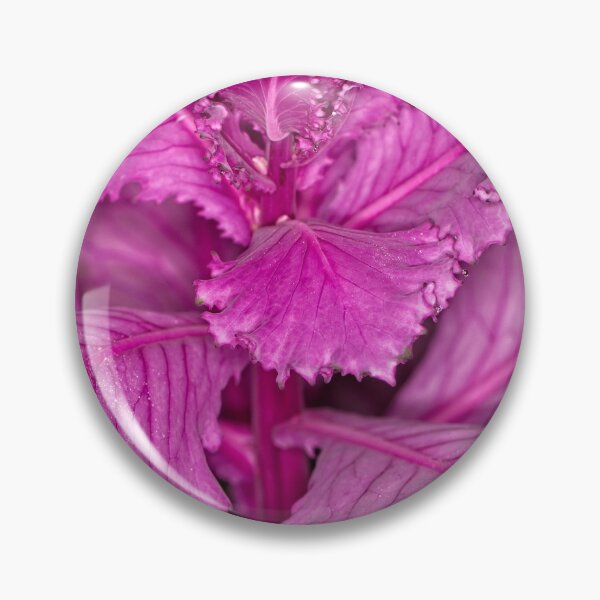 Item preview, Floriade 2022 (29) designed and sold by Wolf Sverak Photography.