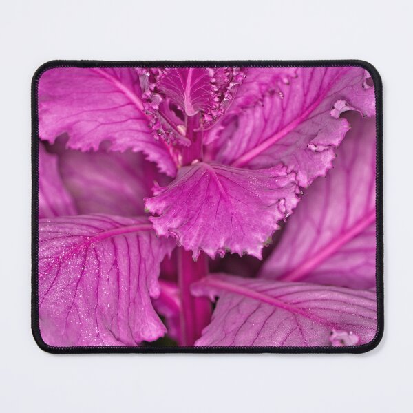 Item preview, Floriade 2022 (29) designed and sold by Wolf Sverak Photography.