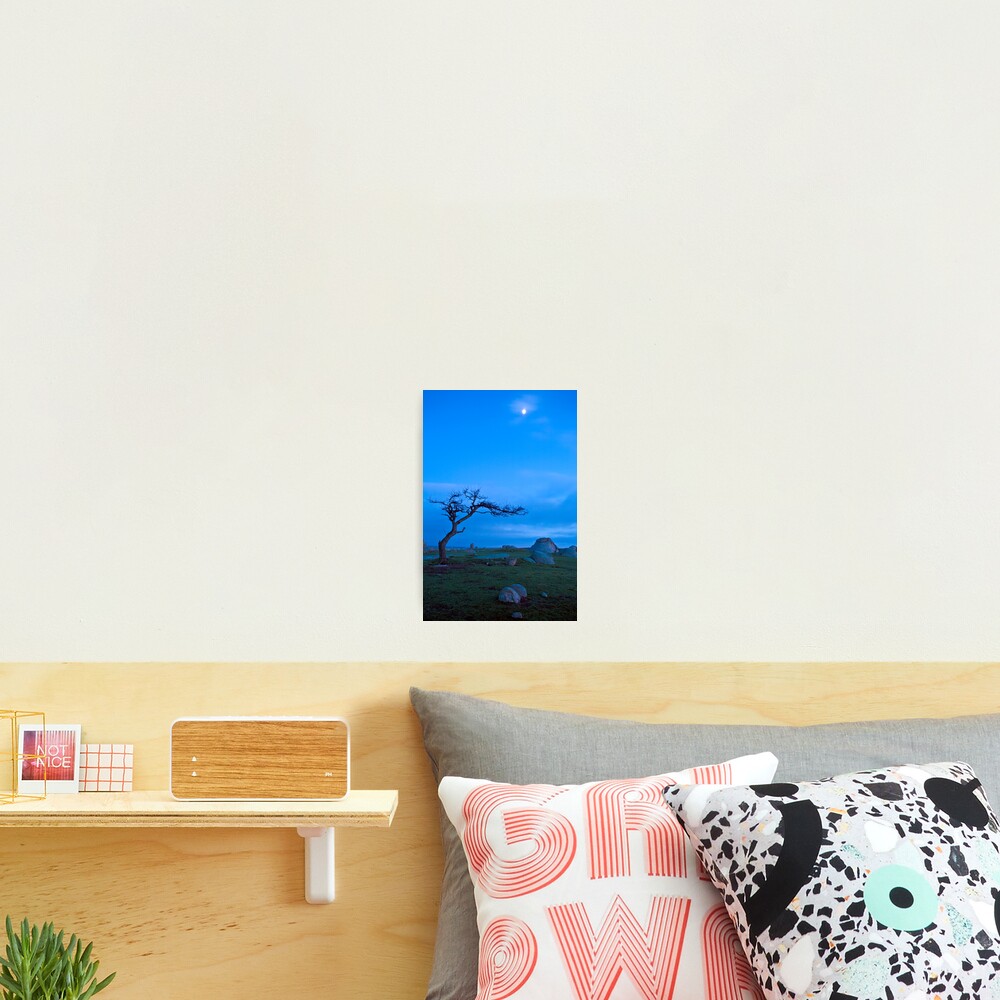 Item preview, Photographic Print designed and sold by Neil.