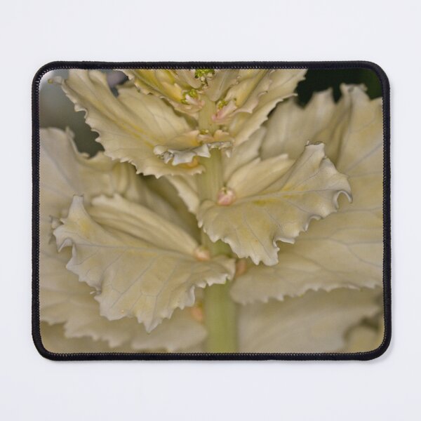 Item preview, Floriade 2022 (28) designed and sold by Wolf Sverak Photography.