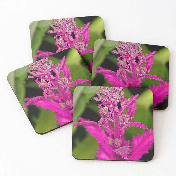Item preview, Floriade 2022 (27) designed and sold by Wolf Sverak Photography.