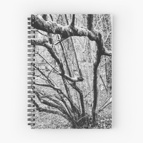 Item preview, Crawling Branches designed and sold by Vanessa Galashan.