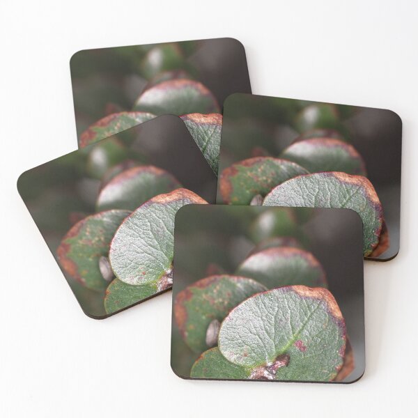 Item preview, Floriade 2022 (26) designed and sold by Wolf Sverak Photography.