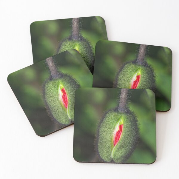 Item preview, Floriade 2022 (25) designed and sold by Wolf Sverak Photography.