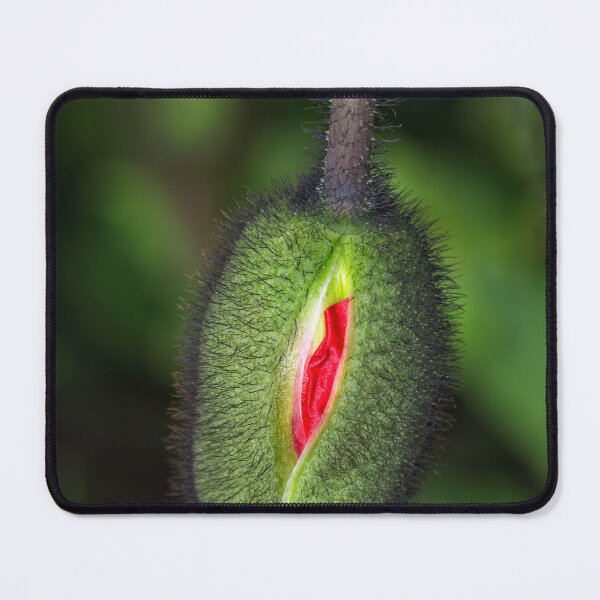 Item preview, Floriade 2022 (25) designed and sold by Wolf Sverak Photography.