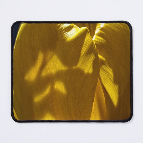 Item preview, Floriade 2022 (24) designed and sold by Wolf Sverak Photography.