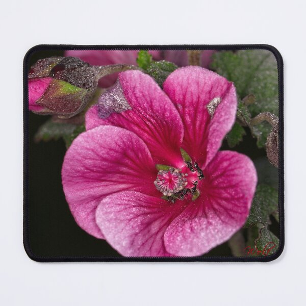 Item preview, Floriade 2022 (23) designed and sold by Wolf Sverak Photography.