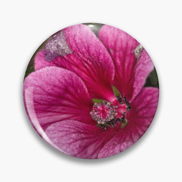 Item preview, Floriade 2022 (23) designed and sold by Wolf Sverak Photography.