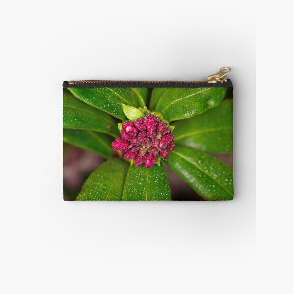 Item preview, Floriade 2022 (22) designed and sold by Wolf Sverak Photography.