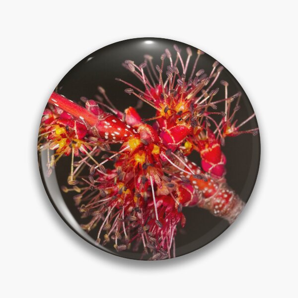 Item preview, Floriade 2022 (21) designed and sold by Wolf Sverak Photography.
