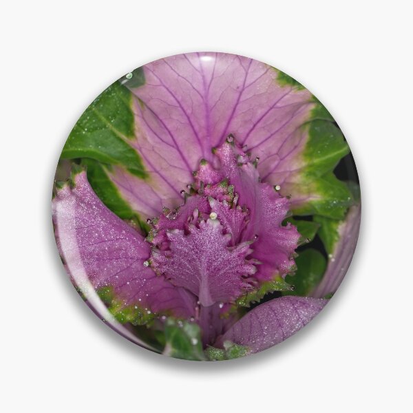 Item preview, Floriade 2022 (20) designed and sold by Wolf Sverak Photography.