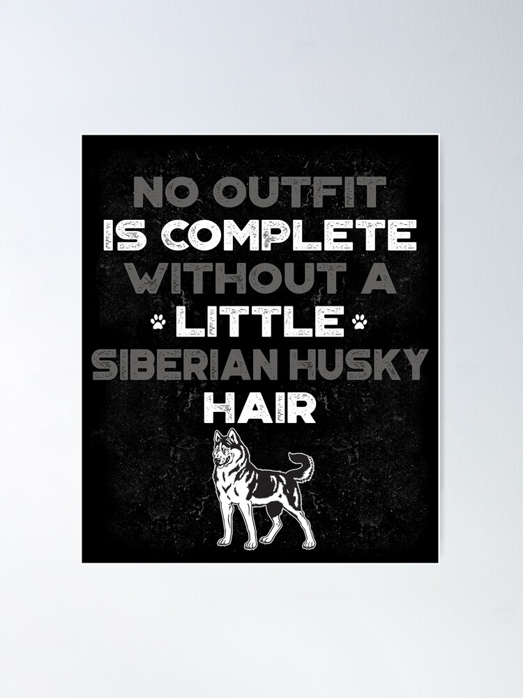 SIBERIAN HUSKY HAIR SIBERIAN HUSKY HAIR