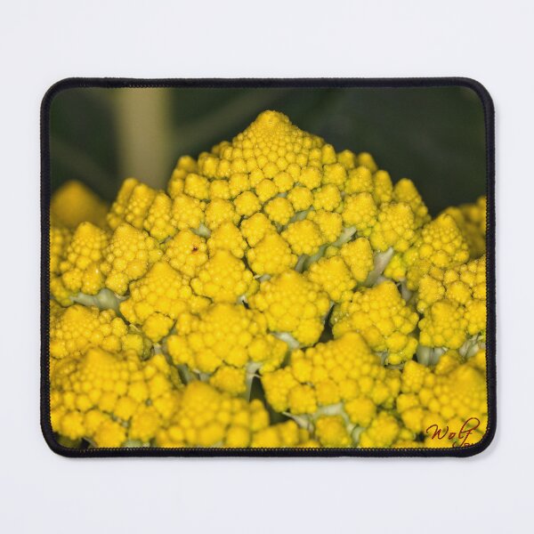Item preview, Floriade 2022 (19) designed and sold by Wolf Sverak Photography.