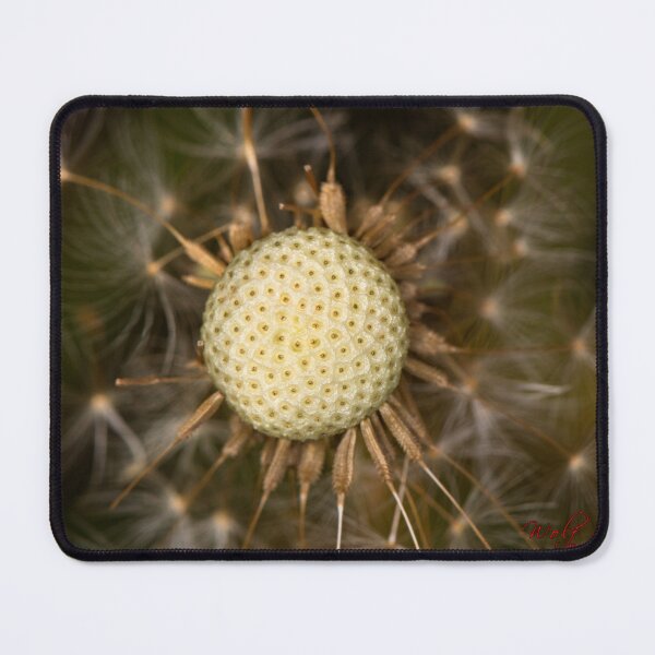 Item preview, Floriade 2022 (18) designed and sold by Wolf Sverak Photography.