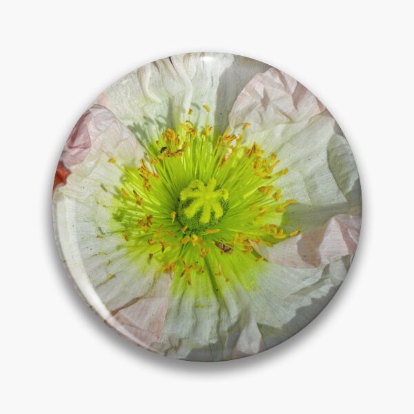 Item preview, Floriade 2022 (17) designed and sold by Wolf Sverak Photography.