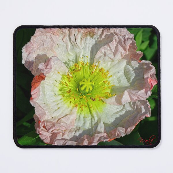 Item preview, Floriade 2022 (17) designed and sold by Wolf Sverak Photography.
