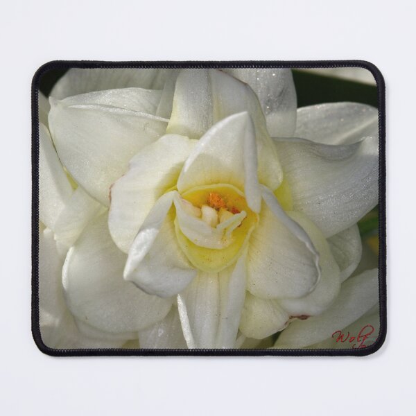 Item preview, Floriade 2022 (16) designed and sold by Wolf Sverak Photography.