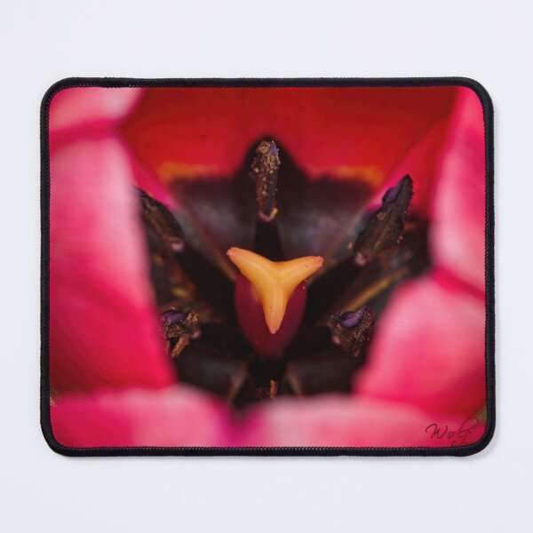 Item preview, Floriade 2022 (15) designed and sold by Wolf Sverak Photography.
