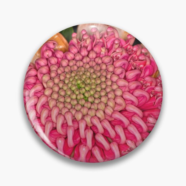 Item preview, Floriade 2022 (13) designed and sold by Wolf Sverak Photography.