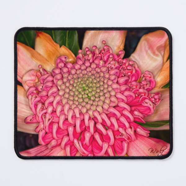 Item preview, Floriade 2022 (13) designed and sold by Wolf Sverak Photography.