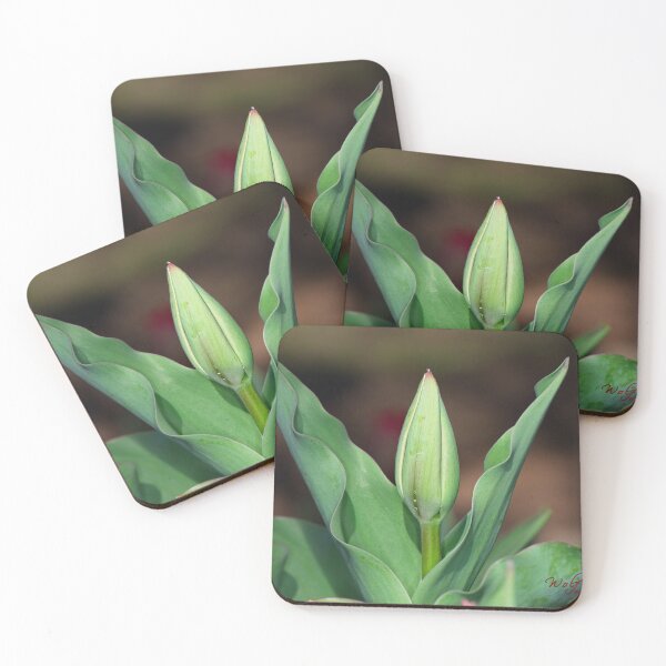 Item preview, Floriade 2022 (10) designed and sold by Wolf Sverak Photography.