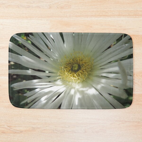 Item preview, White Pig Face - Carpobrotus rossii ‘White Hot’ designed and sold by Marilyn Harris.