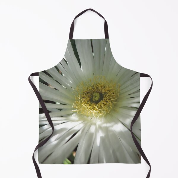 Item preview, White Pig Face - Carpobrotus rossii ‘White Hot’ designed and sold by Marilyn Harris.