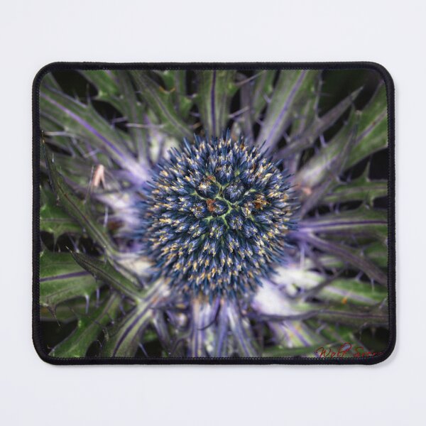 Item preview, Floriade 2022 (9) designed and sold by Wolf Sverak Photography.
