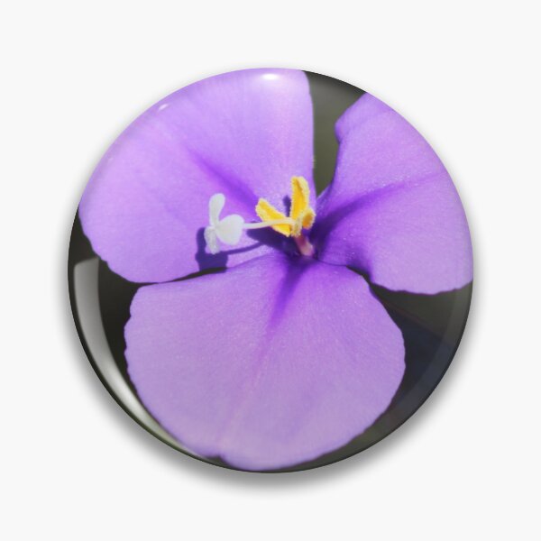 Item preview, Purple Flag Flower (Patersonia occidentalis) designed and sold by Marilyn Harris.