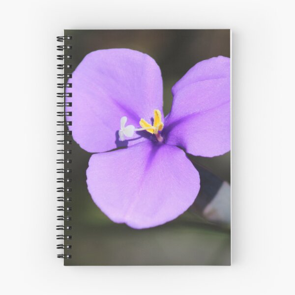 Artikelvorschau, Lila Fahnenblume (Patersonia occidentalis) entworfen und verkauft von Marilyn Harris.