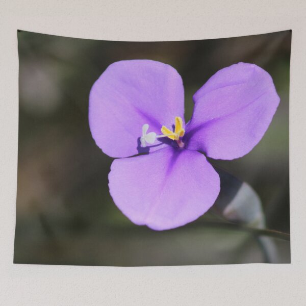 Item preview, Purple Flag Flower (Patersonia occidentalis) designed and sold by Marilyn Harris.