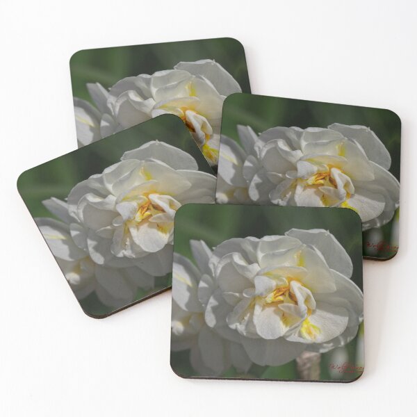 Item preview, Floriade 2022 (8) designed and sold by Wolf Sverak Photography.
