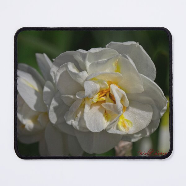 Item preview, Floriade 2022 (8) designed and sold by Wolf Sverak Photography.