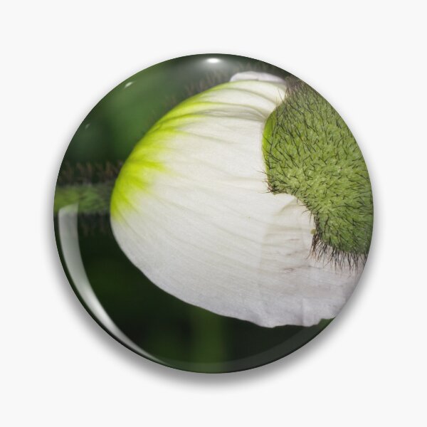 Item preview, Floriade 2022 (7) designed and sold by Wolf Sverak Photography.