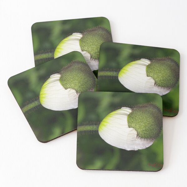 Item preview, Floriade 2022 (7) designed and sold by Wolf Sverak Photography.