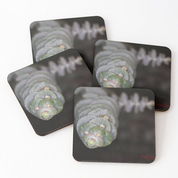 Item preview, Floriade 2022 (6) designed and sold by Wolf Sverak Photography.