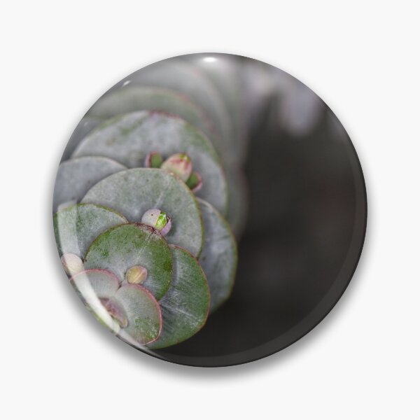 Item preview, Floriade 2022 (6) designed and sold by Wolf Sverak Photography.