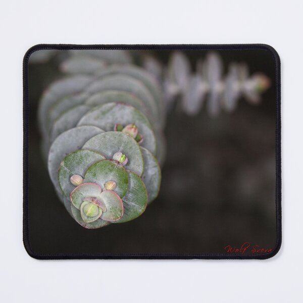 Item preview, Floriade 2022 (6) designed and sold by Wolf Sverak Photography.