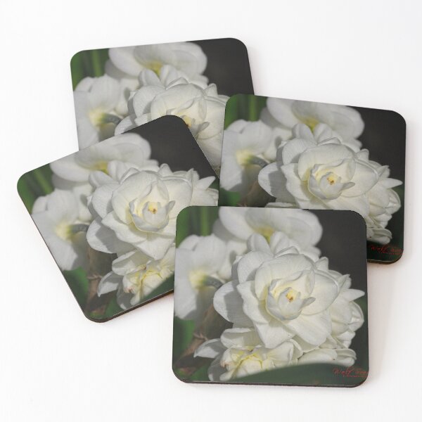 Item preview, Floriade 2022 (5) designed and sold by Wolf Sverak Photography.