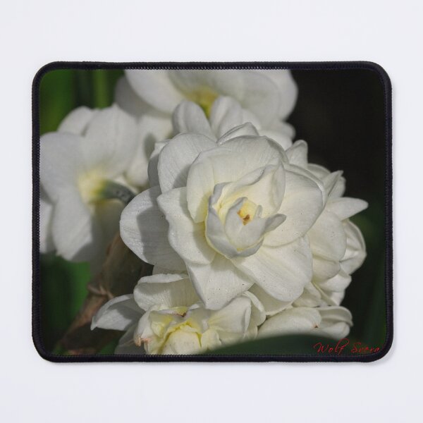 Item preview, Floriade 2022 (5) designed and sold by Wolf Sverak Photography.