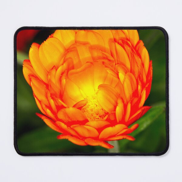 Item preview, Floriade 2022 (3) designed and sold by Wolf Sverak Photography.