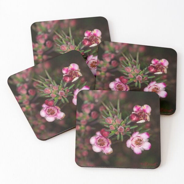 Item preview, Floriade 2022 (2) designed and sold by Wolf Sverak Photography.