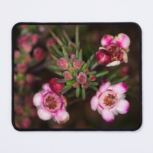 Item preview, Floriade 2022 (2) designed and sold by Wolf Sverak Photography.