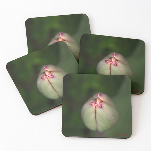 Item preview, Floriade 2022 (1) designed and sold by Wolf Sverak Photography.