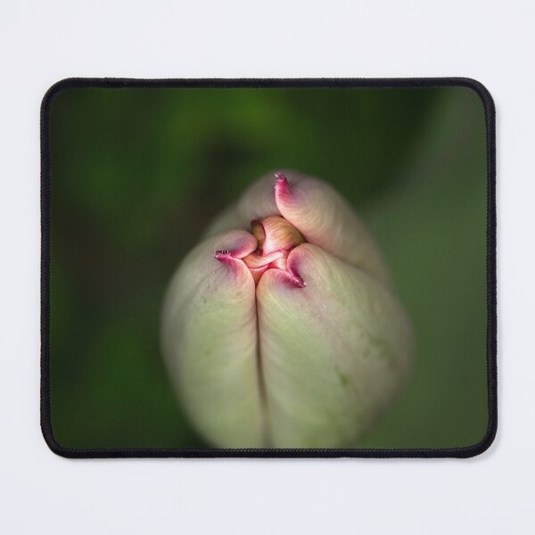 Item preview, Floriade 2022 (1) designed and sold by Wolf Sverak Photography.
