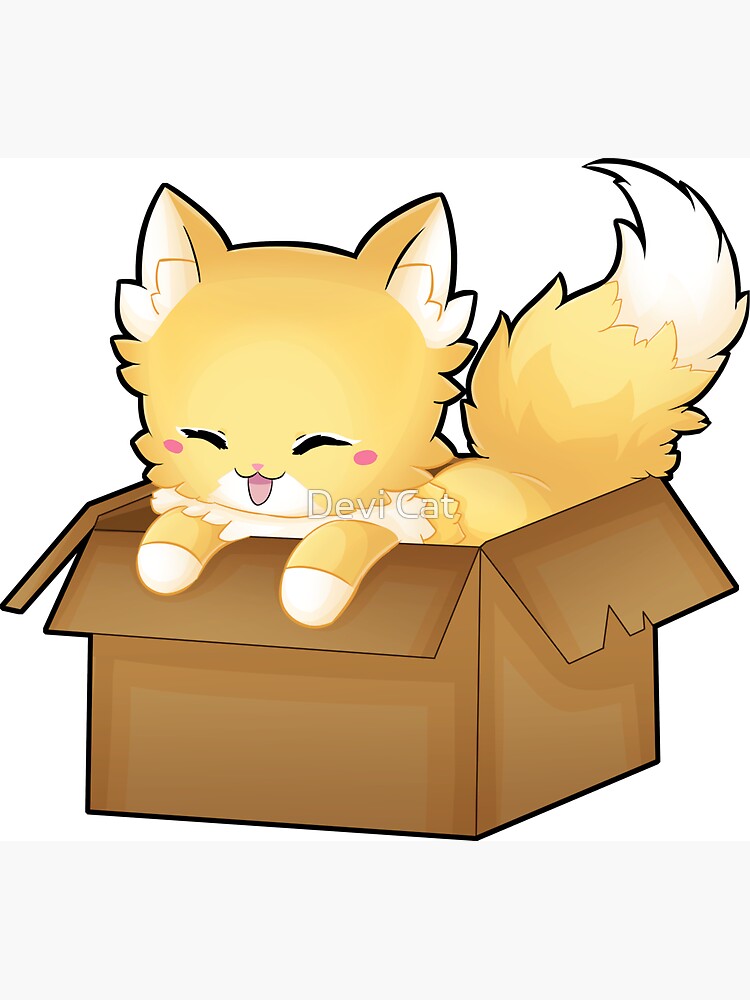 This Is My Box by devicatoutlet